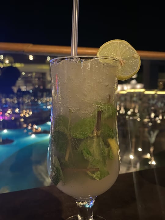 Gastro Pickalbatros Palace Resort