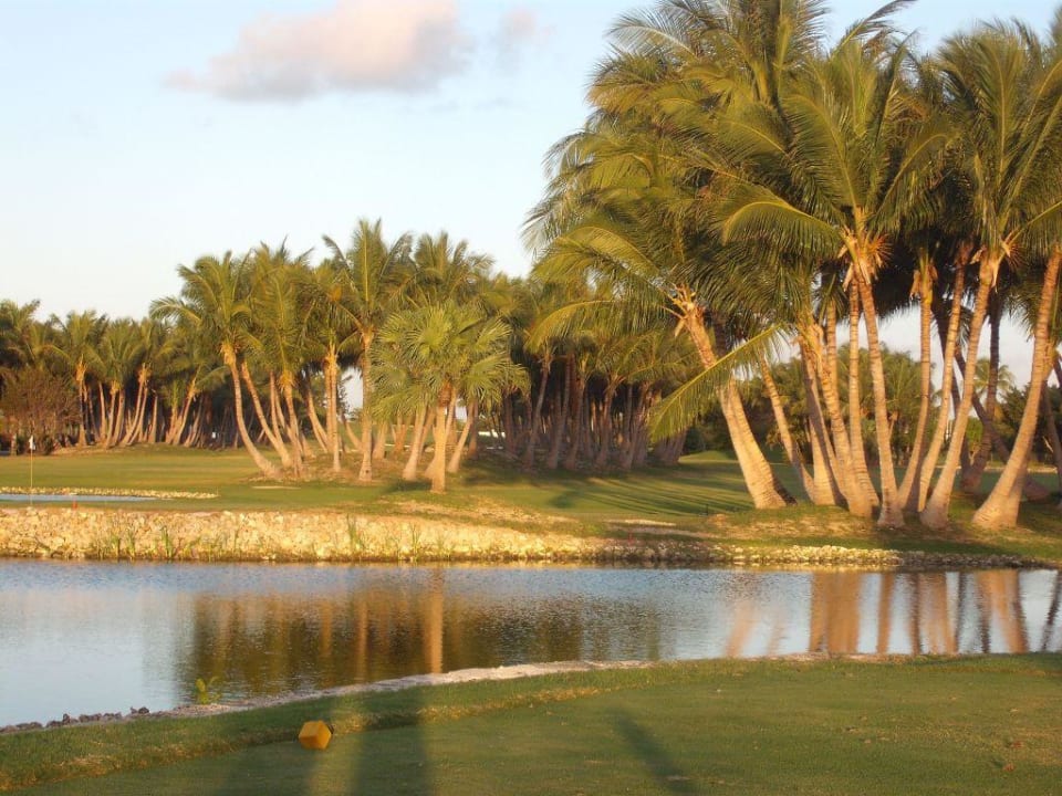 Golfplatz Catalonia Royal Bavaro - Adults only