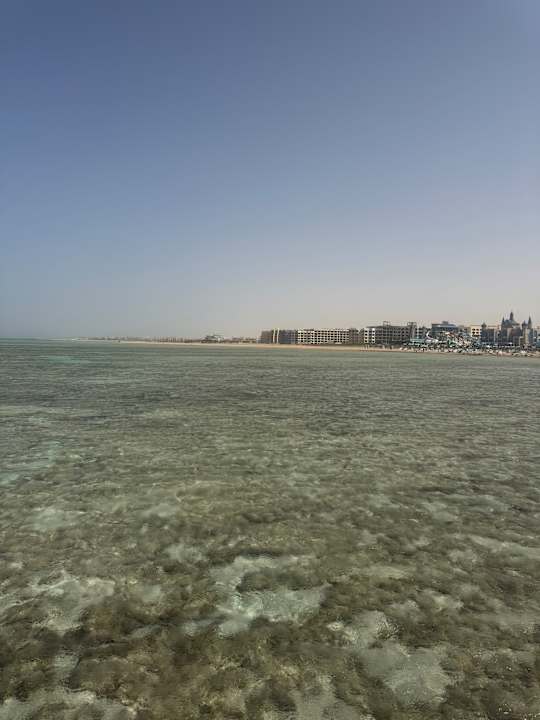 Strand JAZ Elite Asteria