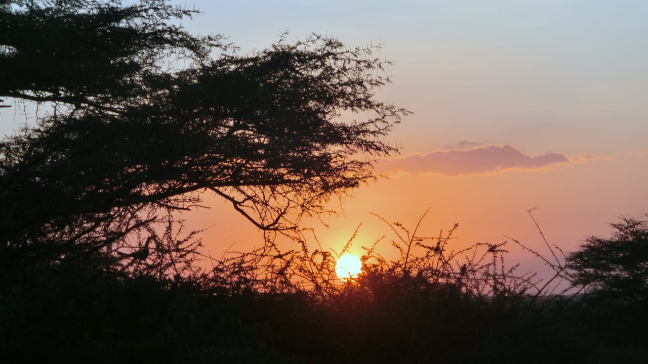 Ausblick Hotel Amboseli Sopa Lodge
