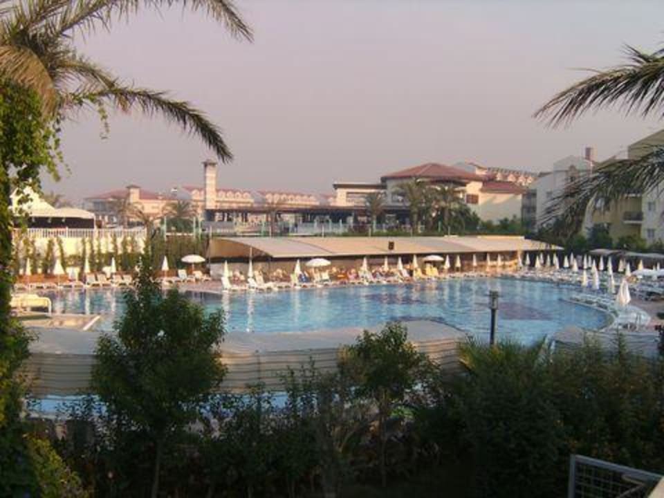 Pool Belek Beach Resort Hotel