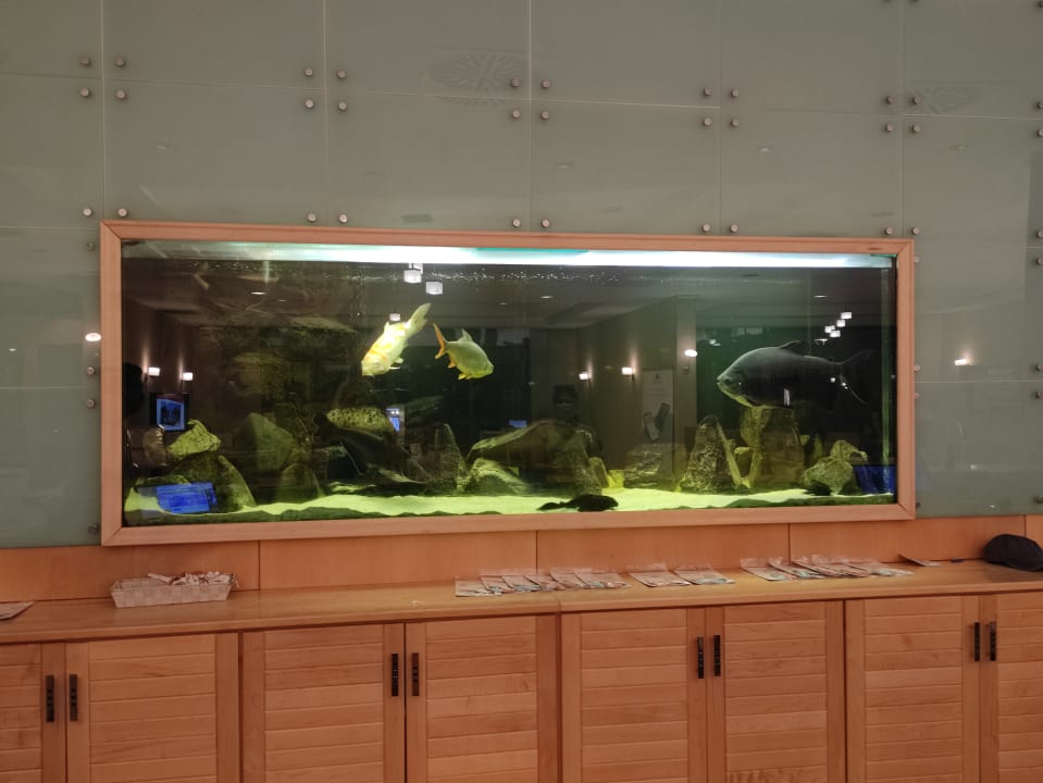 Lobby Atlantica Aegean Blue