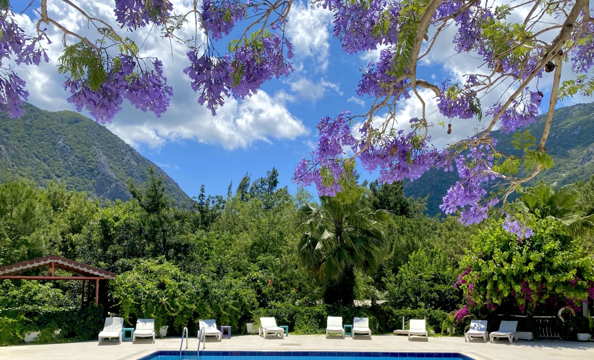 Pool LYKIA lodge | home of happiness
