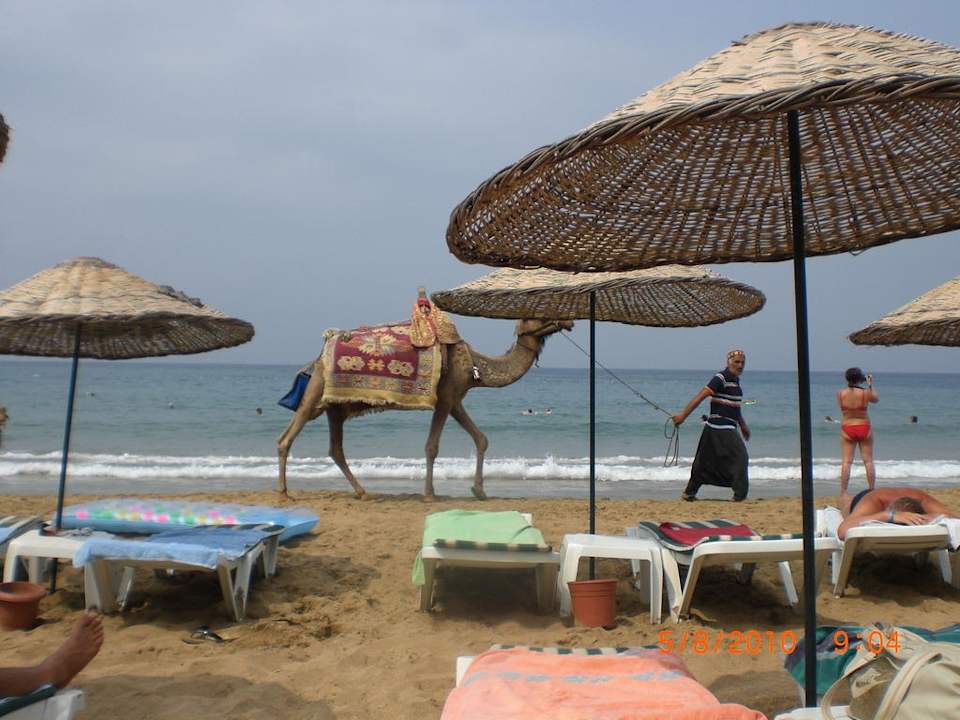Strand Aska Hotel Just in Beach