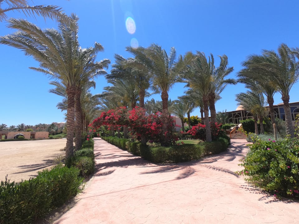 Gartenanlage Dream Lagoon Resort & Aqua Park