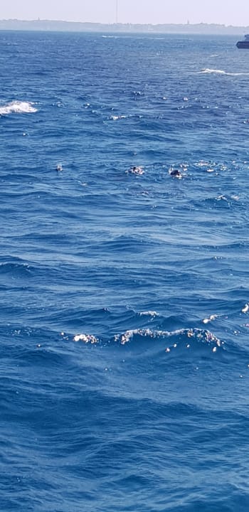 Strand Palm Beach Resort