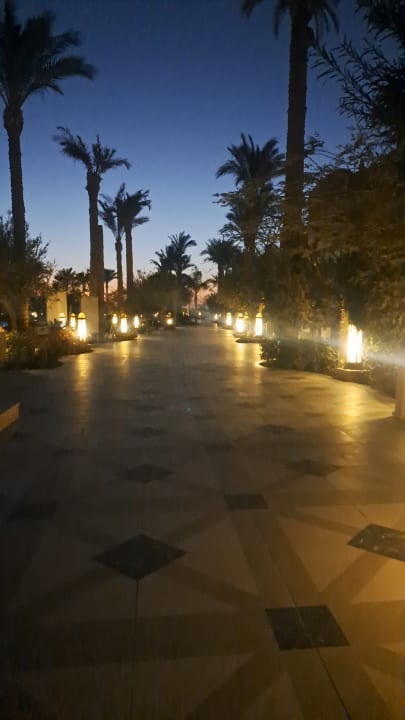 Gartenanlage The Grand Palace - Adults only