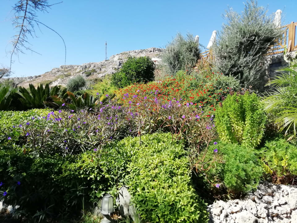 Außenansicht Hotel Kalithea Horizon Royal