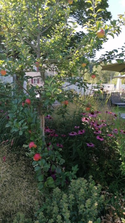 Gartenanlage Hotel St. Florian