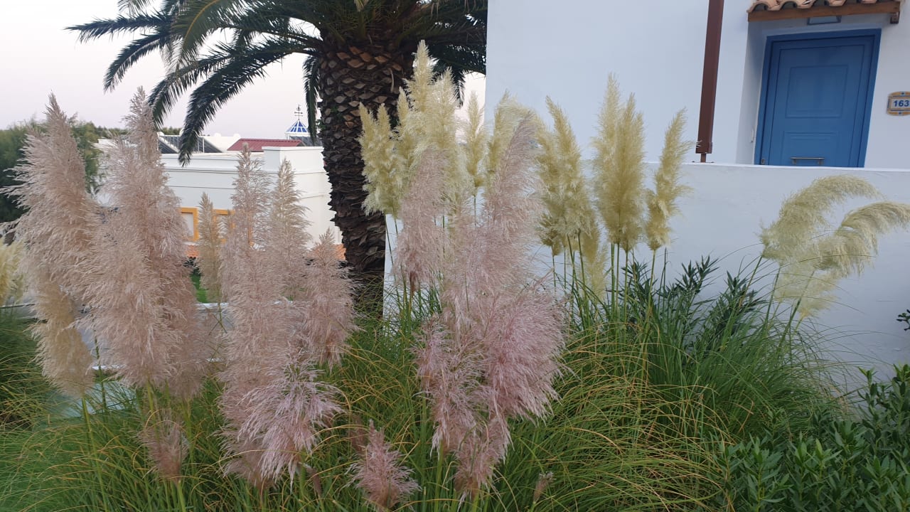 Außenansicht Lagas Aegean Village