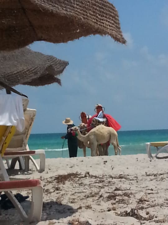 Strand Monarque Dar Jerba Zahra