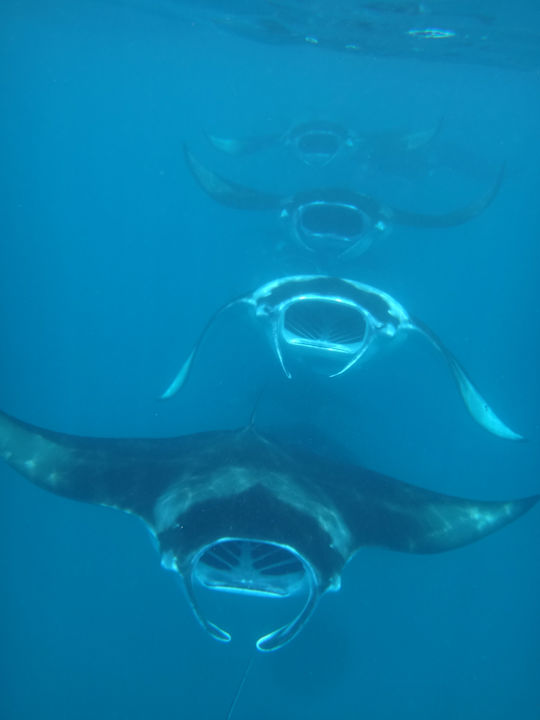 Sport & Freizeit NH Collection Maldives Reethi Resort