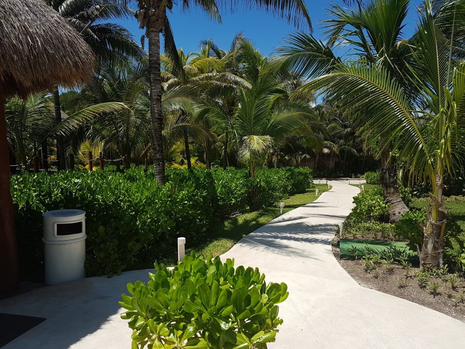 Gartenanlage Akumal Bay Beach & Wellness Resort