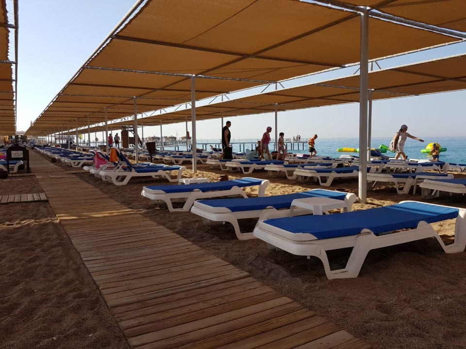 Strand TUI BLUE Palm Garden