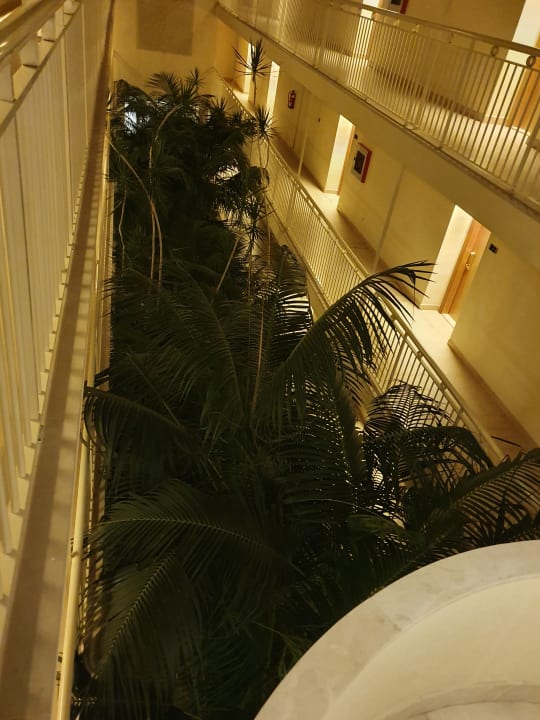 Sonstiges Zafiro Mallorca