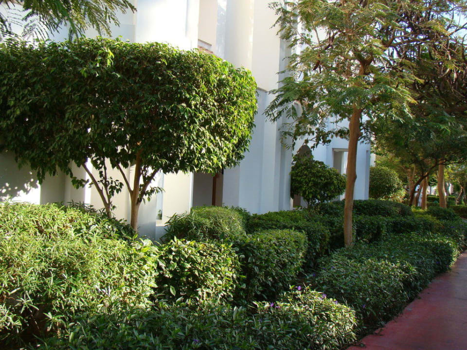 Сад Savoy Sharm El Sheikh