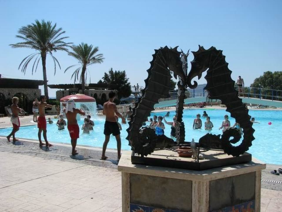Seepferdchen am Pool Olympos Beach Hotel