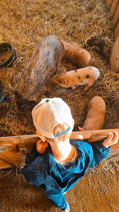 Sonstiges Familien Resort Petschnighof - Familotel Kärnten