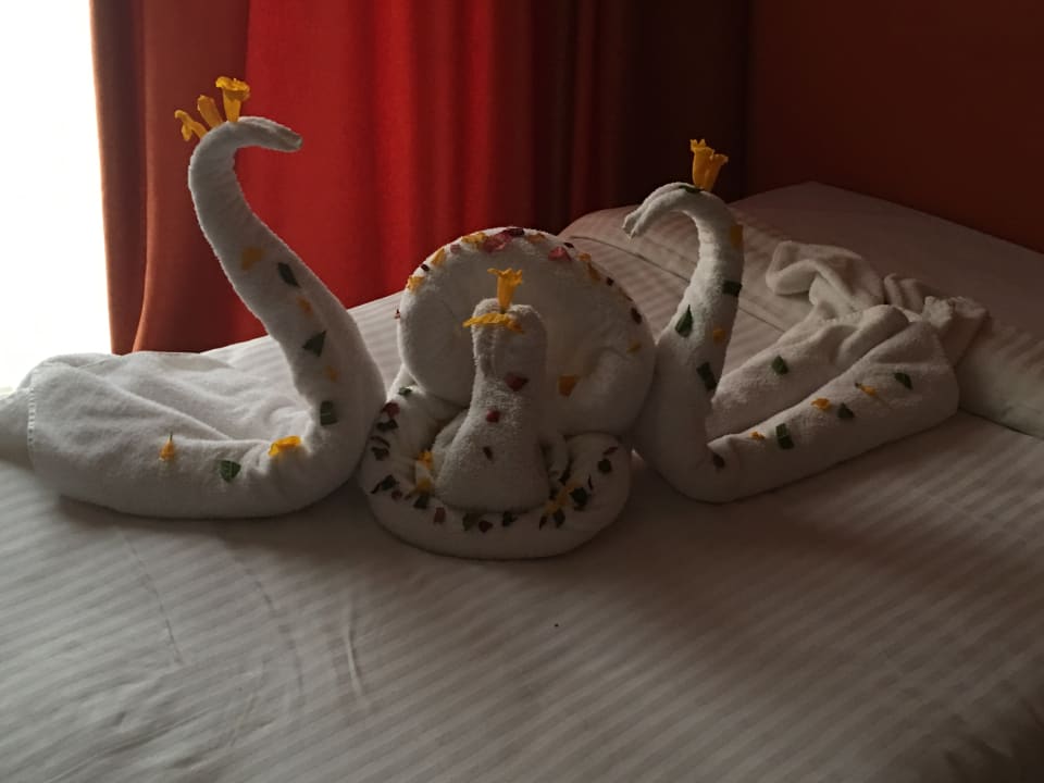 Zimmer Riviera Aqua Park Resort