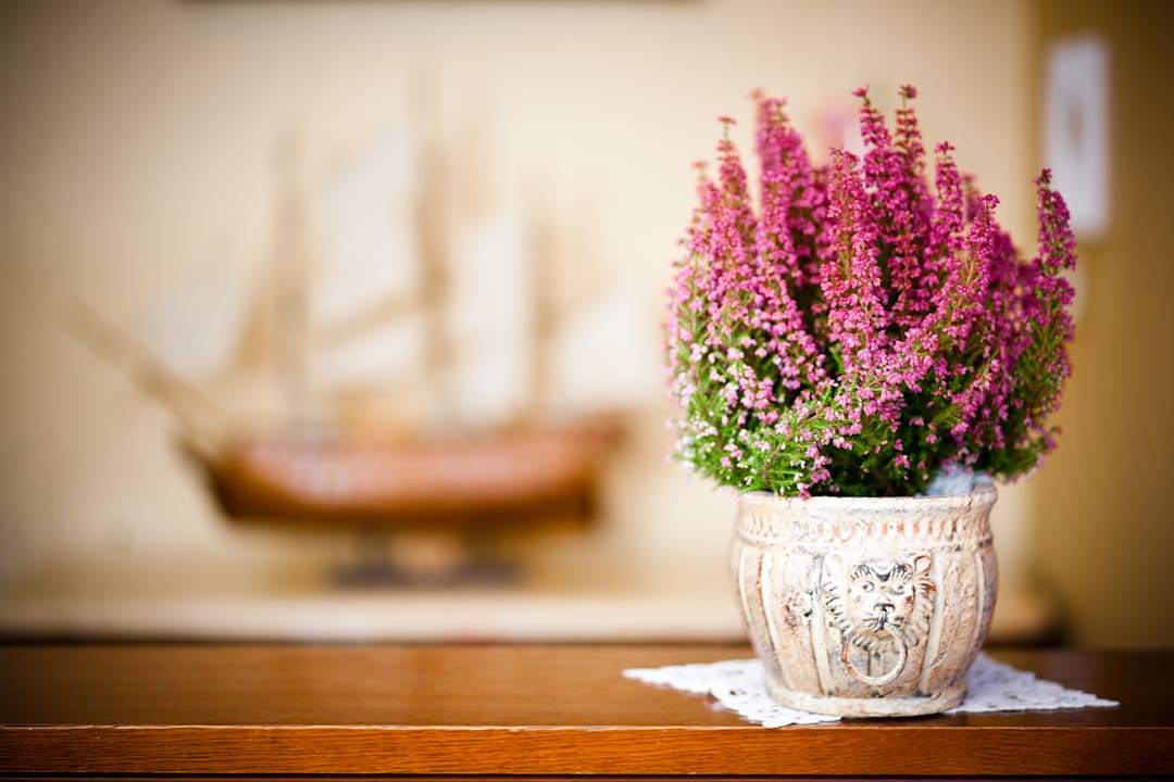 Sonstiges Hotel Dworek Tryumf