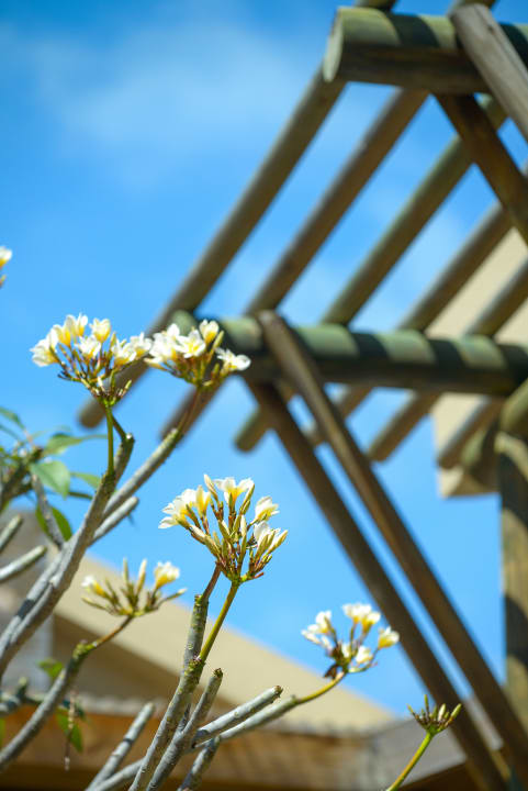 Sonstiges Friday Attitude