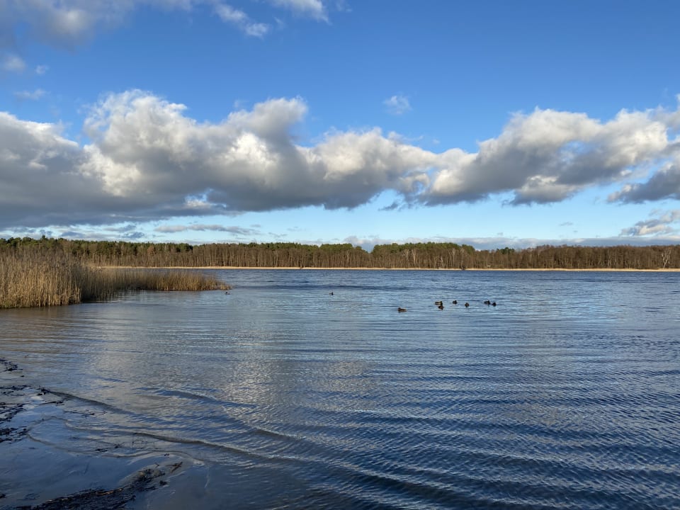 Ausblick AHORN Seehotel Templin