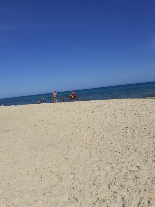 Strand Hotel Royal Nozha