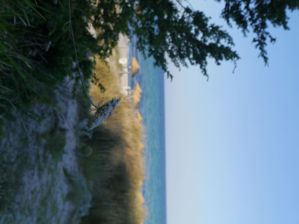 Abendstimmung Grupotel Natura Playa
