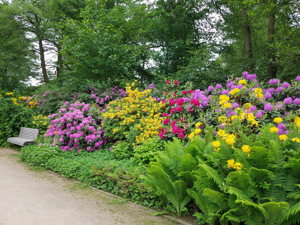 Kurpark Ringhotel Fährhaus