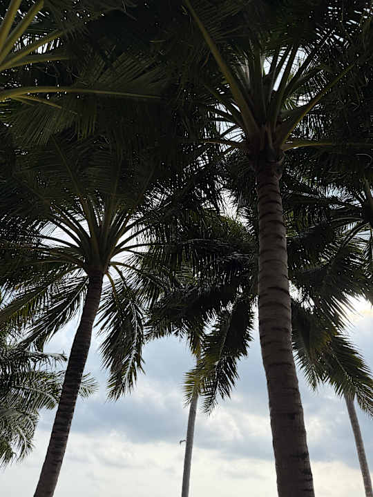 Außenansicht Jawakara Islands Maldives