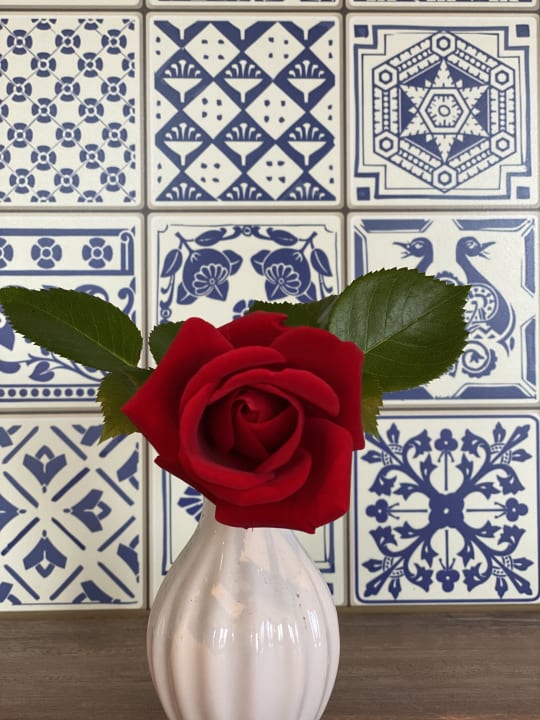 Zimmer Apartments Dachsteinblick