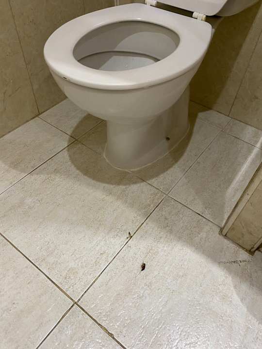 Zimmer Hotel Best Semiramis