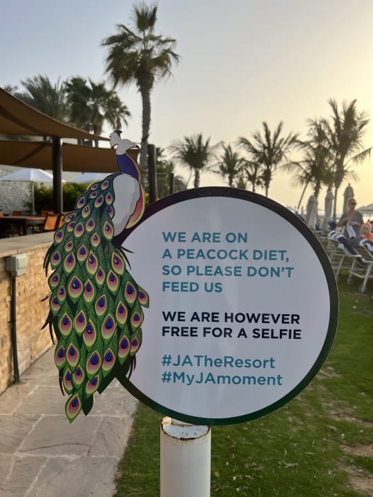 Sonstiges JA Beach Hotel