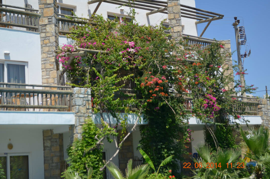 Hotel Hotel Ayaz Aqua