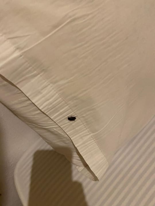 Zimmer Hotel Kradan Beach Resort