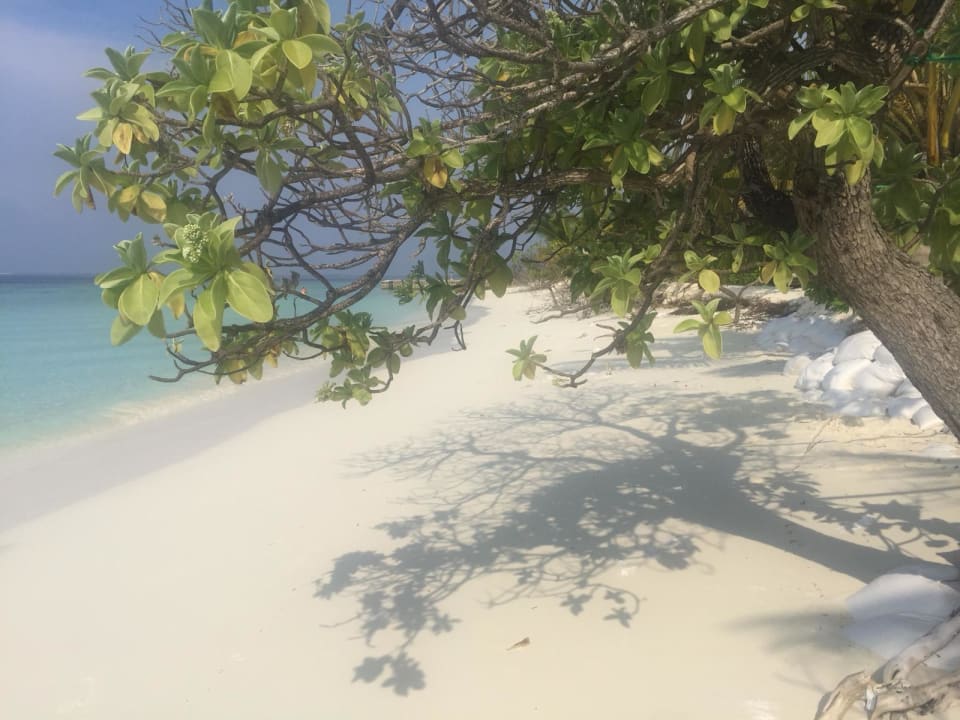 Strand Adaaran Select Meedhupparu Island Resort - Premium All Inclusive