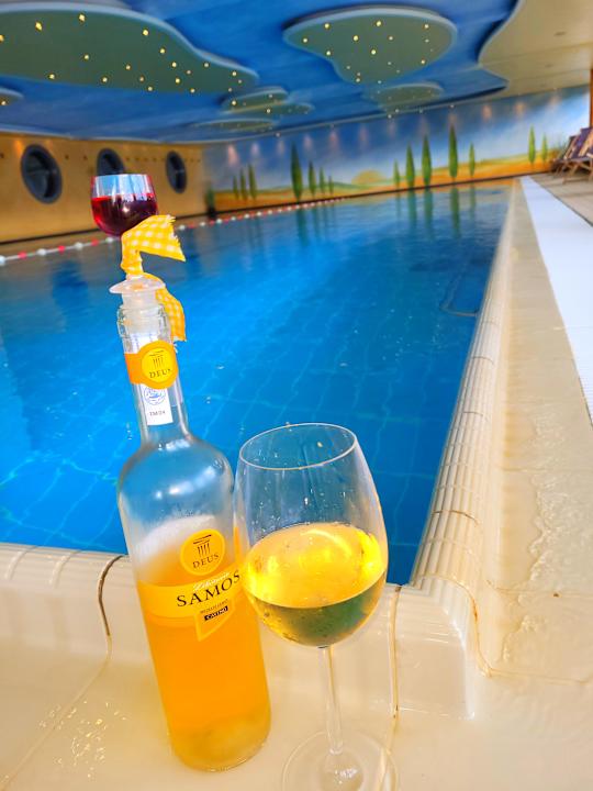 Pool Hotel Hochsauerland 2010