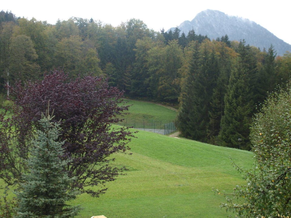Aussicht vom Balkon Alm- & Wellnesshotel Alpenhof