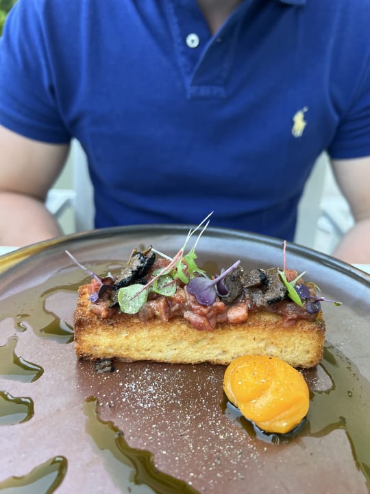 Gastro Acanthus Cennet Barut Collection