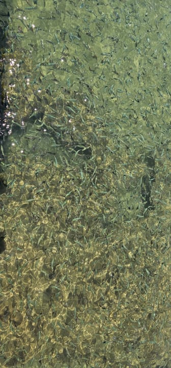 Sonstiges VONRESORT Golden Beach