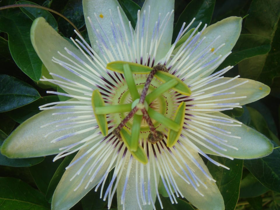 Seuil de notre chambre Finca Meridiana