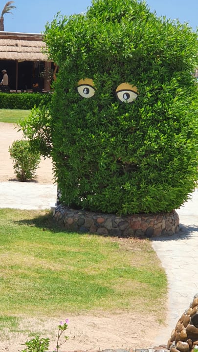 Sonstiges Ali Baba Palace Resort