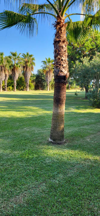 Außenansicht Hotel Süral Resort