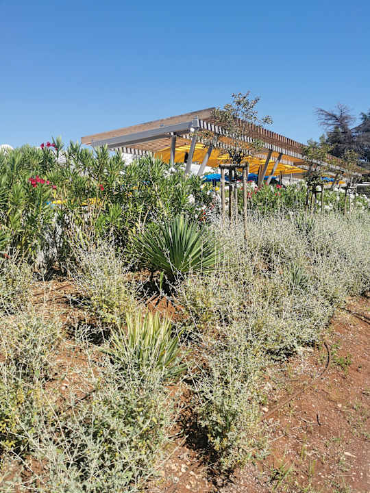 Gartenanlage Valamar Parentino Hotel