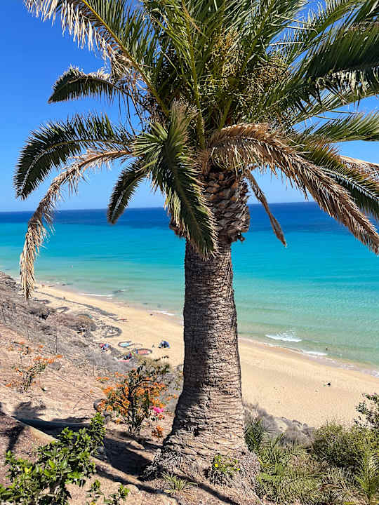 Strand SBH Club Paraiso Playa