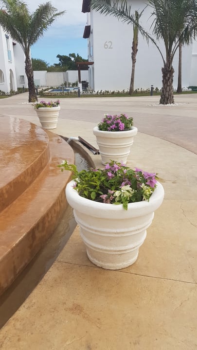 Gartenanlage Dreams Dominicus La Romana