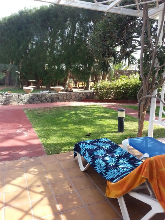 Terrasse Bull Costa Canaria & Spa - Adults only