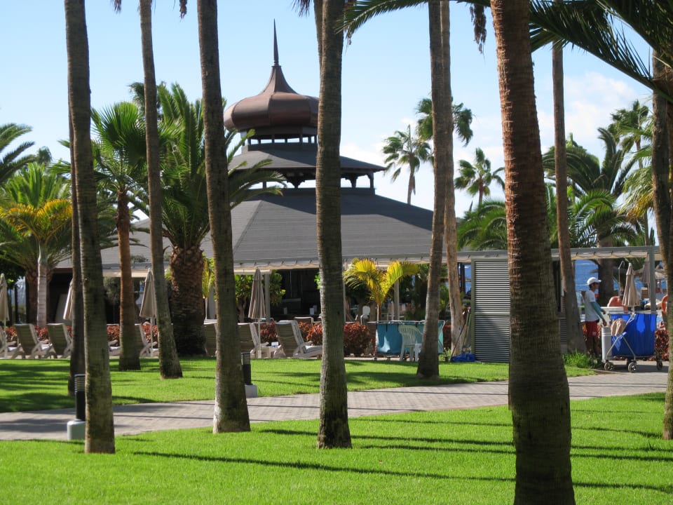Garten Hotel Riu Palace Tenerife