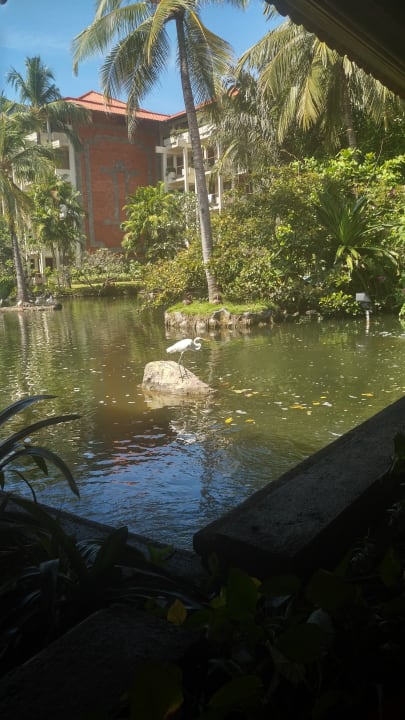 Gartenanlage Ayodya Resort Bali