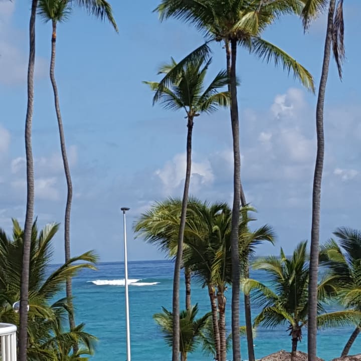 Ausblick TRS Turquesa Hotel - Adults only